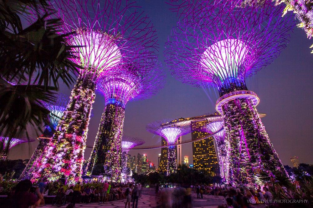 Gardens by the Bay, Singapore